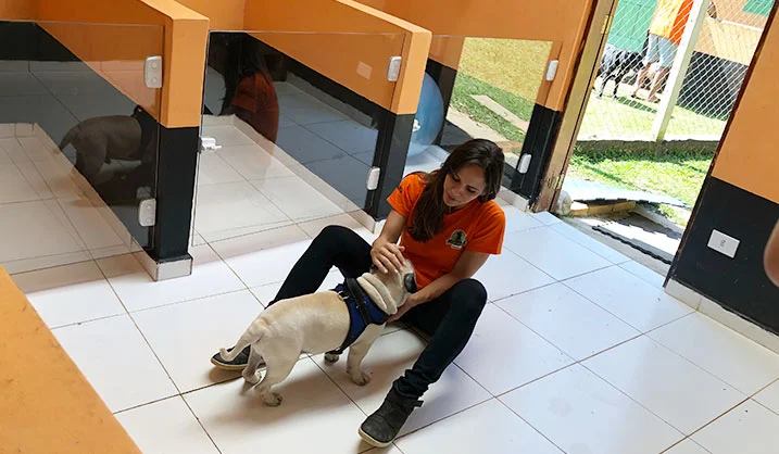 Luana junto a um cão dentro das acomodações