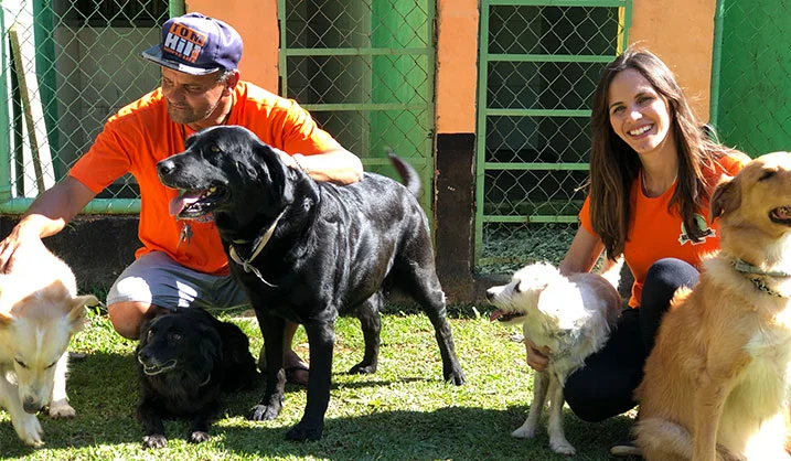 Equipe do hotel junto aos cães na área externa