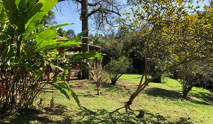 Área verde do hotel com árvores e gramado